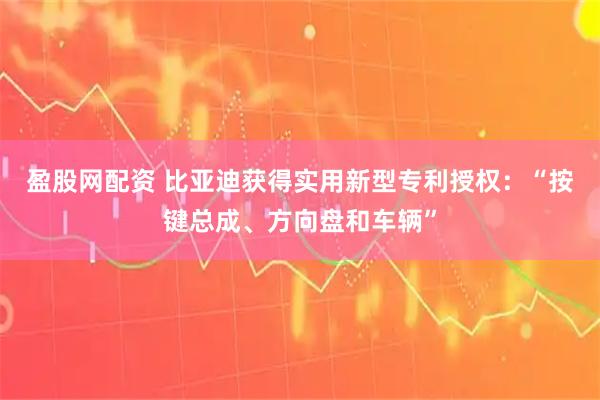盈股网配资 比亚迪获得实用新型专利授权：“按键总成、方向盘和车辆”